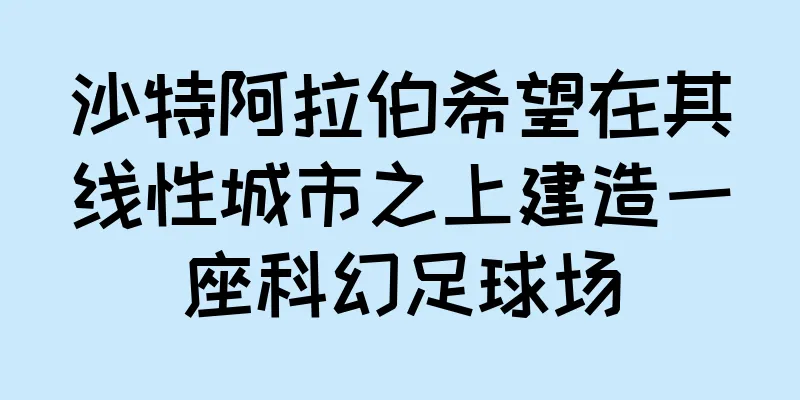 沙特阿拉伯希望在其线性城市之上建造一座科幻足球场