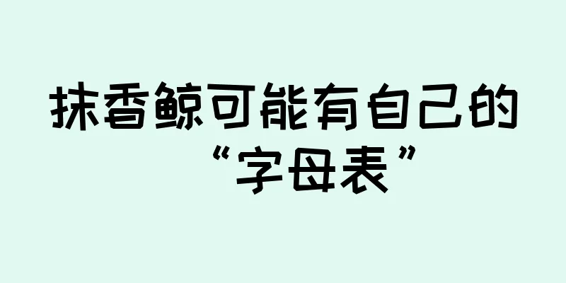 抹香鲸可能有自己的“字母表”