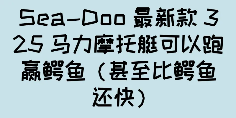 Sea-Doo 最新款 325 马力摩托艇可以跑赢鳄鱼（甚至比鳄鱼还快）