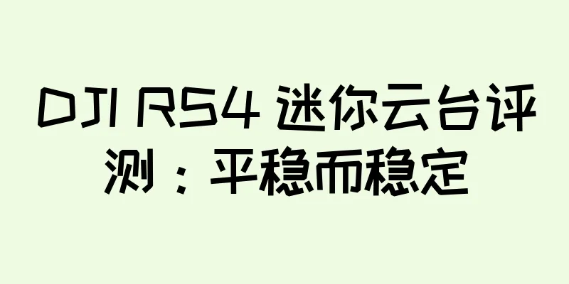 DJI RS4 迷你云台评测：平稳而稳定