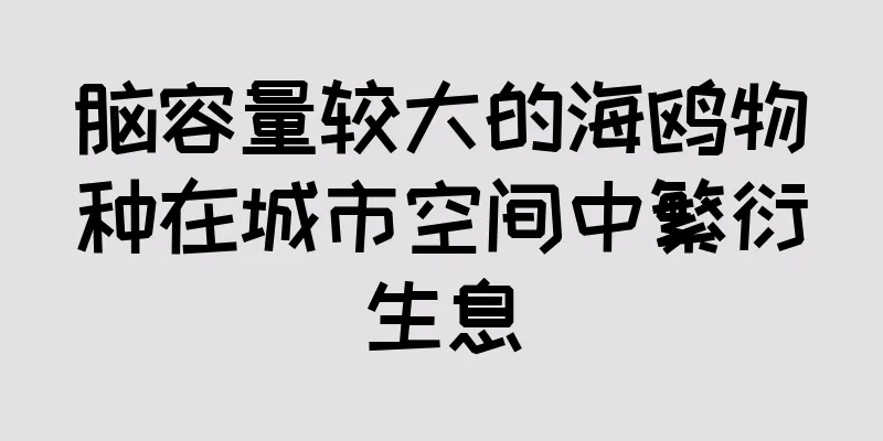 脑容量较大的海鸥物种在城市空间中繁衍生息