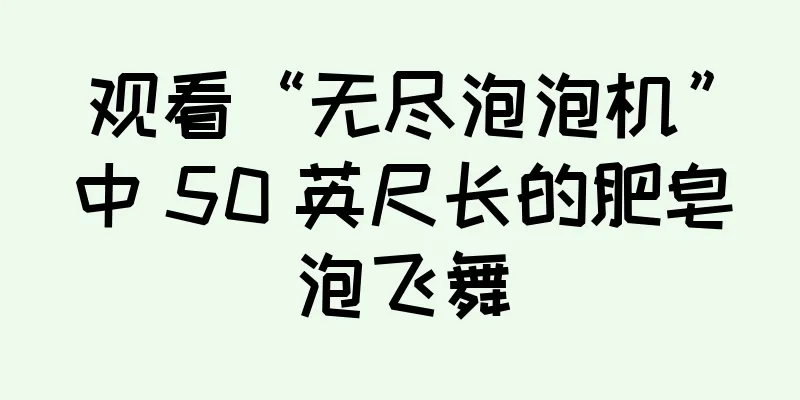 观看“无尽泡泡机”中 50 英尺长的肥皂泡飞舞