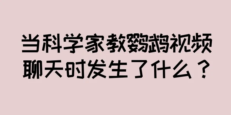 当科学家教鹦鹉视频聊天时发生了什么？
