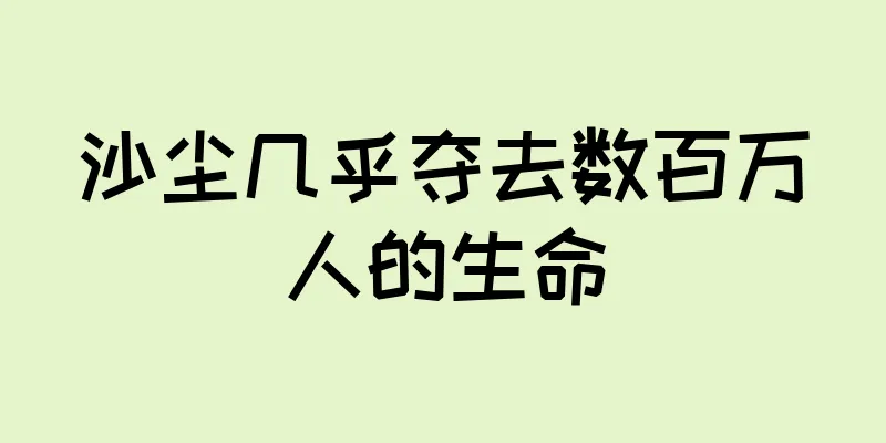 沙尘几乎夺去数百万人的生命