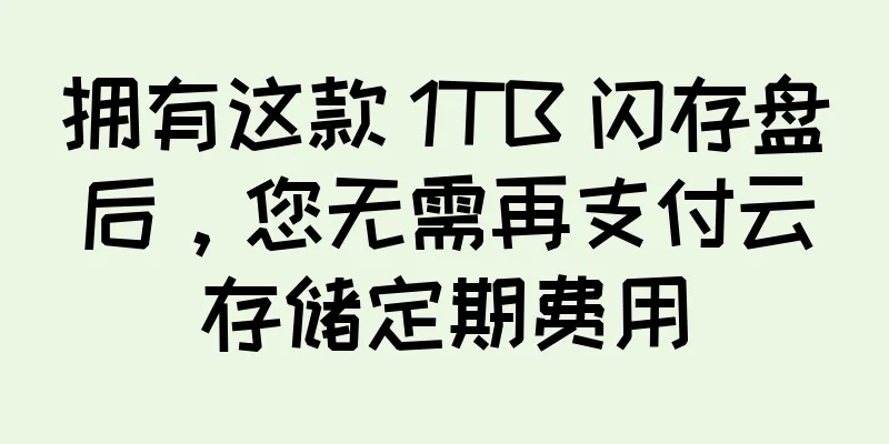 拥有这款 1TB 闪存盘后，您无需再支付云存储定期费用
