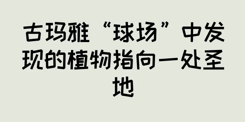 古玛雅“球场”中发现的植物指向一处圣地