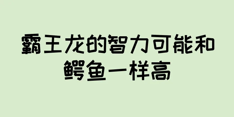 霸王龙的智力可能和鳄鱼一样高