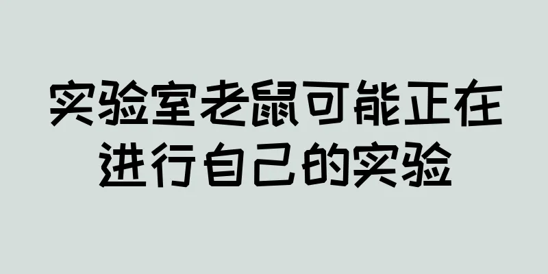 实验室老鼠可能正在进行自己的实验