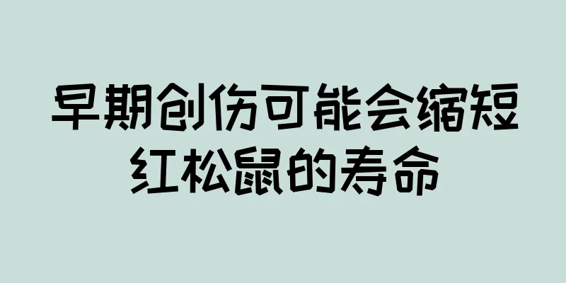早期创伤可能会缩短红松鼠的寿命