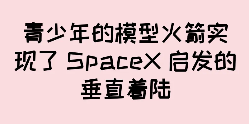 青少年的模型火箭实现了 SpaceX 启发的垂直着陆
