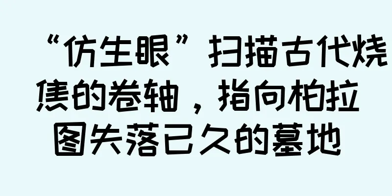 “仿生眼”扫描古代烧焦的卷轴，指向柏拉图失落已久的墓地