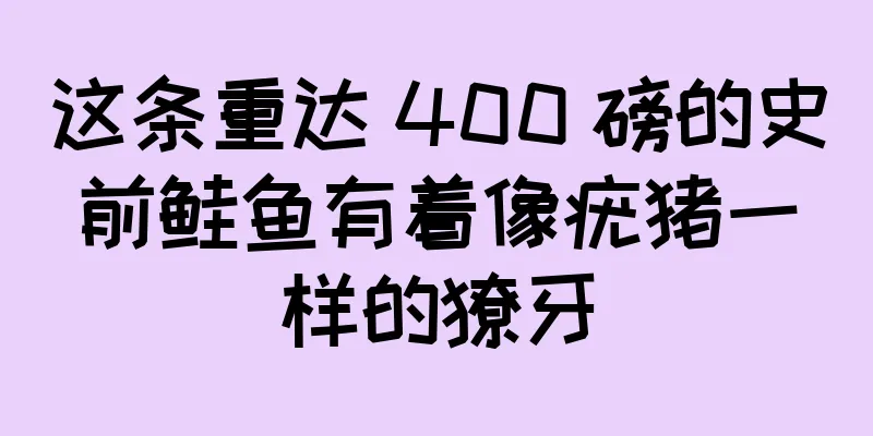 这条重达 400 磅的史前鲑鱼有着像疣猪一样的獠牙