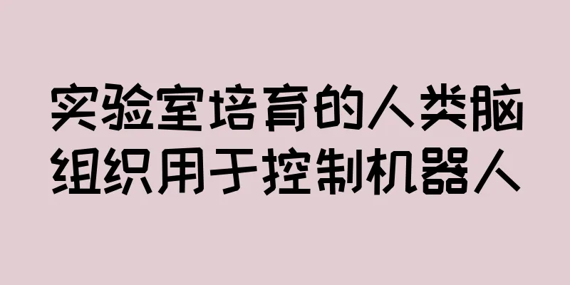 实验室培育的人类脑组织用于控制机器人