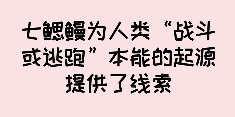 七鳃鳗为人类“战斗或逃跑”本能的起源提供了线索