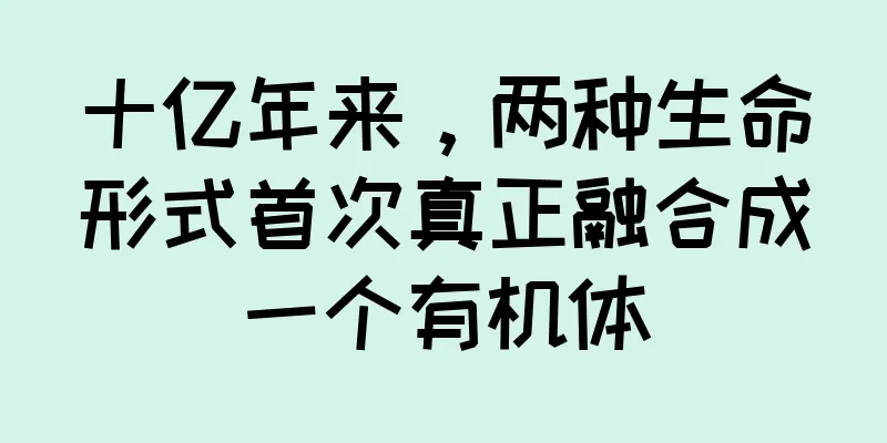 十亿年来，两种生命形式首次真正融合成一个有机体