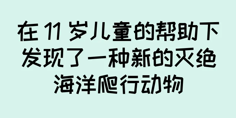 在 11 岁儿童的帮助下发现了一种新的灭绝海洋爬行动物