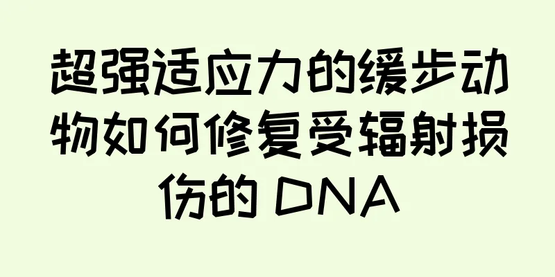 超强适应力的缓步动物如何修复受辐射损伤的 DNA