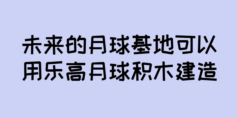 未来的月球基地可以用乐高月球积木建造