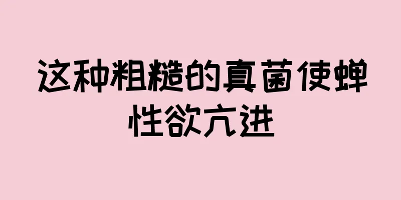 这种粗糙的真菌使蝉性欲亢进