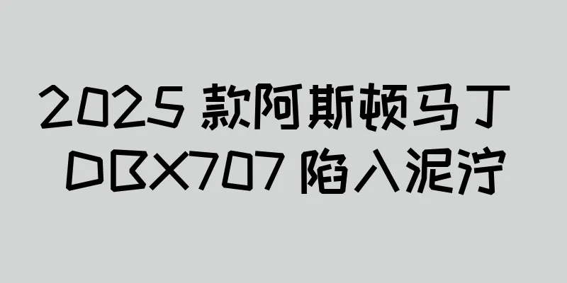2025 款阿斯顿马丁 DBX707 陷入泥泞