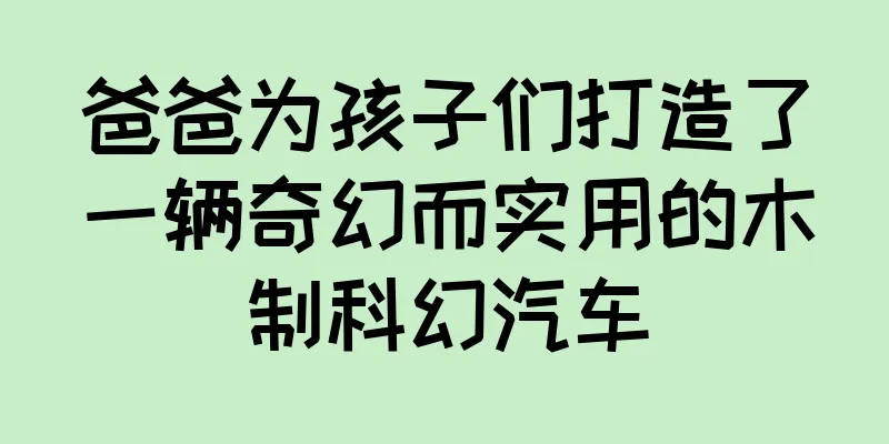 爸爸为孩子们打造了一辆奇幻而实用的木制科幻汽车