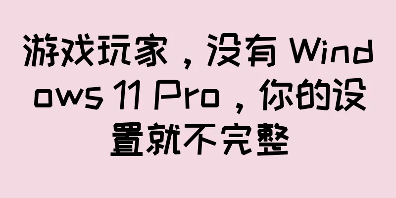 游戏玩家，没有 Windows 11 Pro，你的设置就不完整