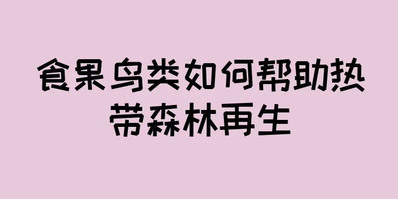 食果鸟类如何帮助热带森林再生