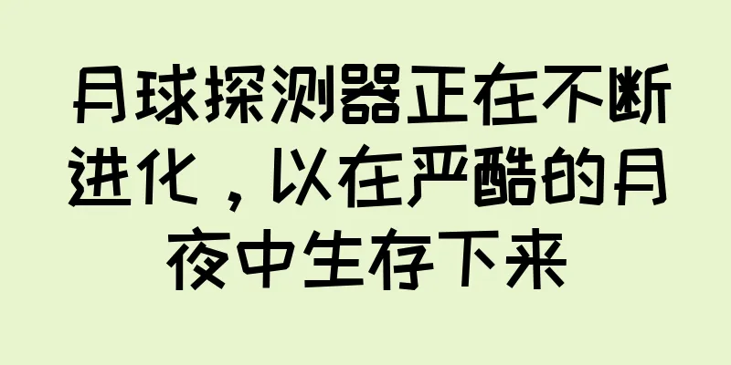 月球探测器正在不断进化，以在严酷的月夜中生存下来