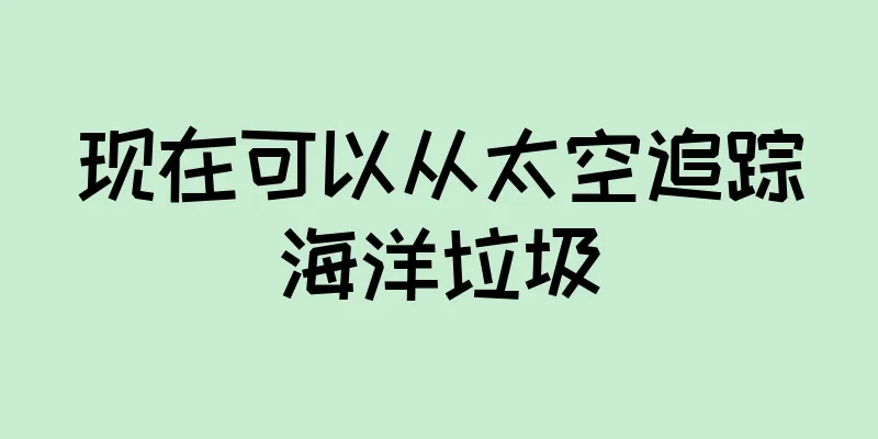 现在可以从太空追踪海洋垃圾