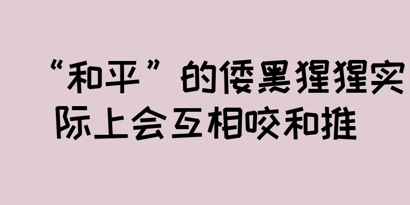 “和平”的倭黑猩猩实际上会互相咬和推