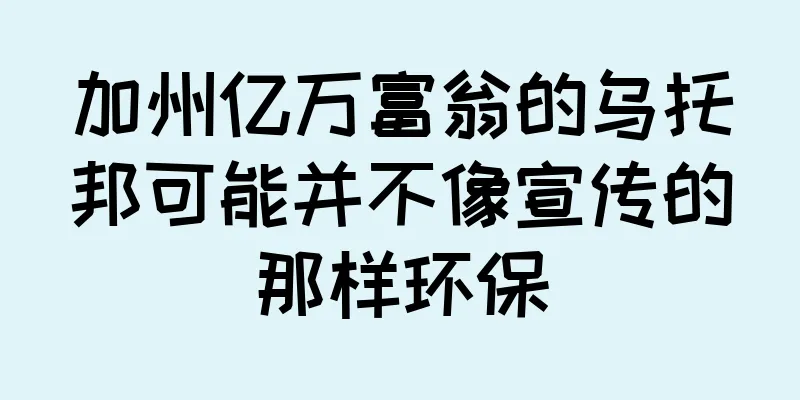加州亿万富翁的乌托邦可能并不像宣传的那样环保