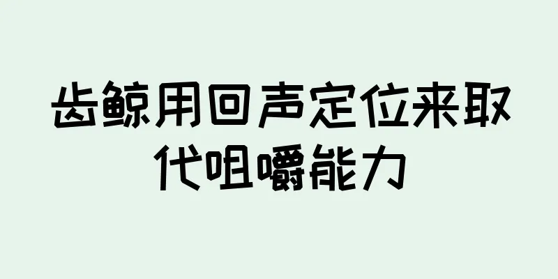 齿鲸用回声定位来取代咀嚼能力
