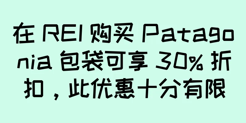 在 REI 购买 Patagonia 包袋可享 30% 折扣，此优惠十分有限