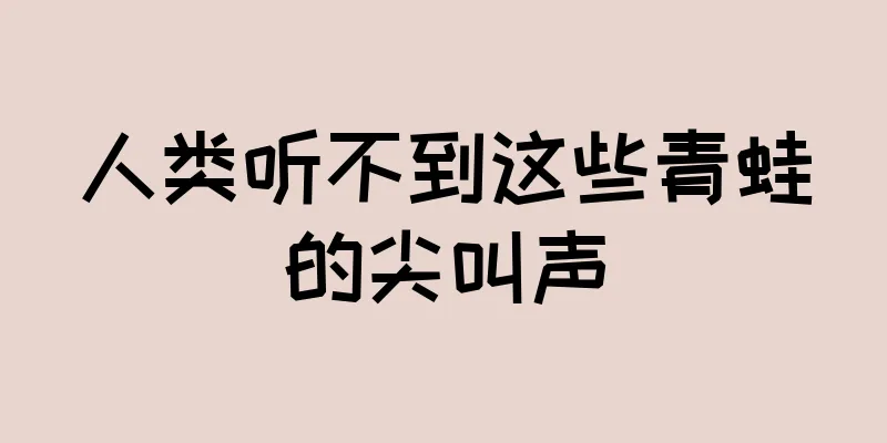 人类听不到这些青蛙的尖叫声