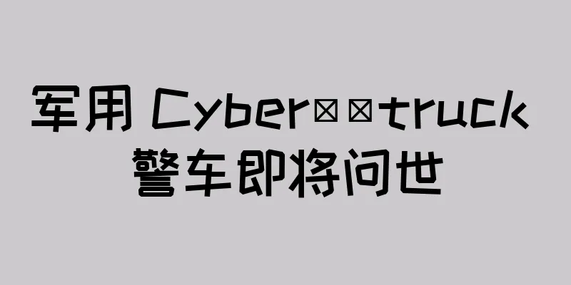 军用 Cyber​​truck 警车即将问世