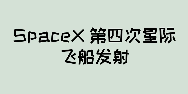 SpaceX 第四次星际飞船发射