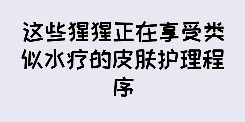 这些猩猩正在享受类似水疗的皮肤护理程序