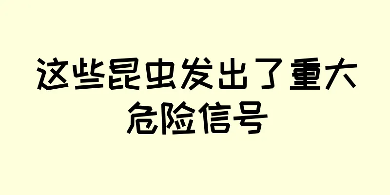 这些昆虫发出了重大危险信号