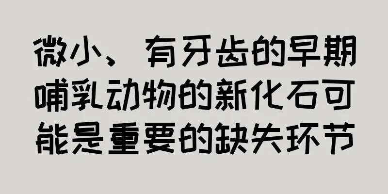 微小、有牙齿的早期哺乳动物的新化石可能是重要的缺失环节
