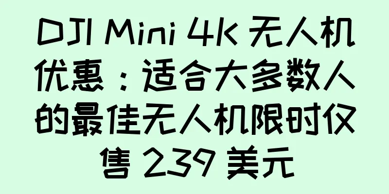 DJI Mini 4K 无人机优惠：适合大多数人的最佳无人机限时仅售 239 美元