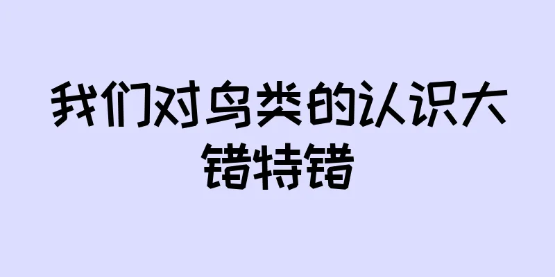 我们对鸟类的认识大错特错