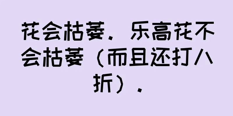 花会枯萎。乐高花不会枯萎（而且还打八折）。