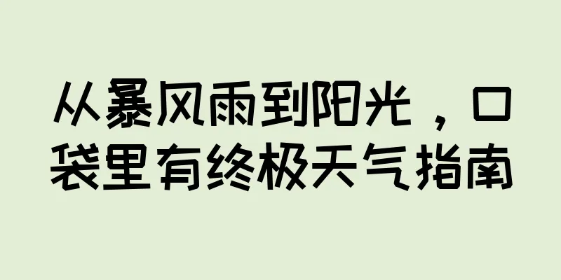 从暴风雨到阳光，口袋里有终极天气指南
