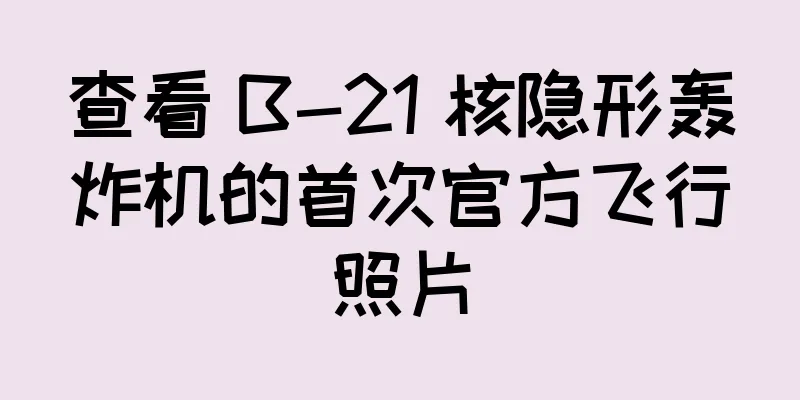 查看 B-21 核隐形轰炸机的首次官方飞行照片