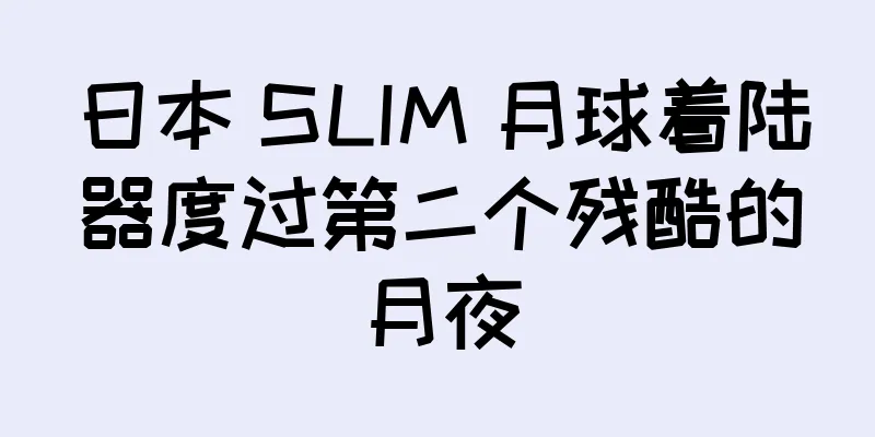 日本 SLIM 月球着陆器度过第二个残酷的月夜