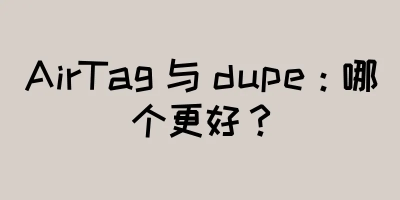 AirTag 与 dupe：哪个更好？