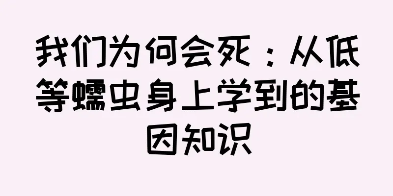 我们为何会死：从低等蠕虫身上学到的基因知识