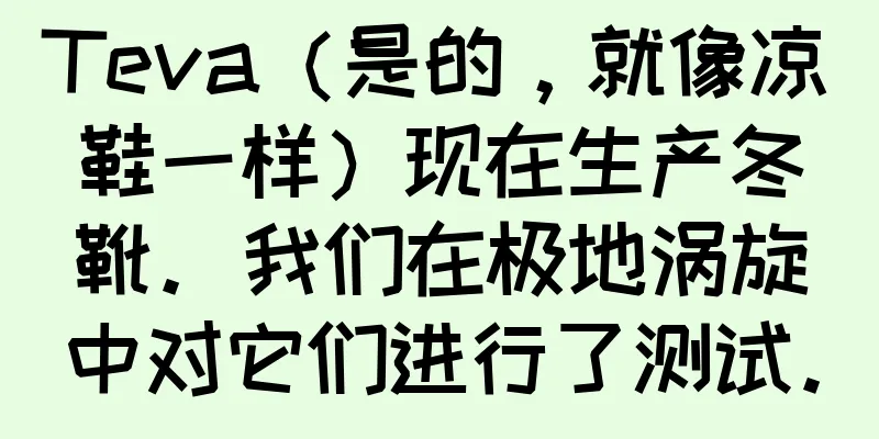 Teva（是的，就像凉鞋一样）现在生产冬靴。我们在极地涡旋中对它们进行了测试。