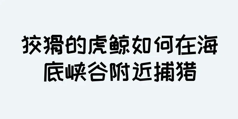 狡猾的虎鲸如何在海底峡谷附近捕猎
