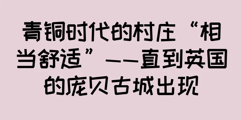 青铜时代的村庄“相当舒适”——直到英国的庞贝古城出现